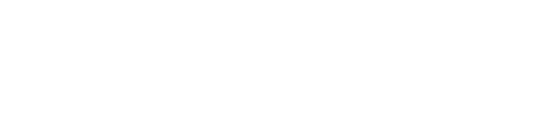 UConn Logo